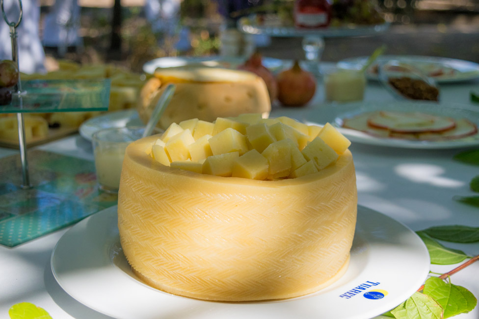 catering_platos_queso_manchego